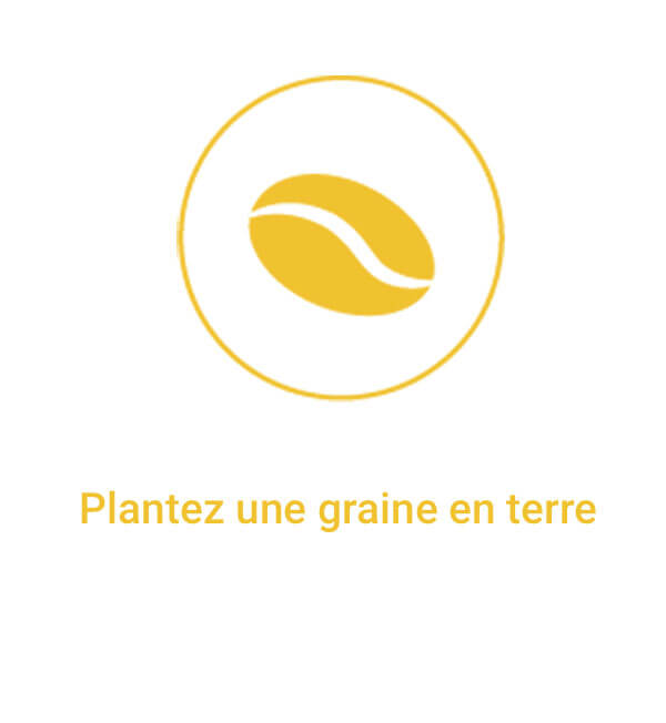 seeds