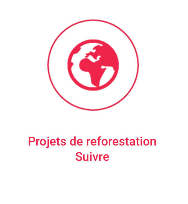 Projects