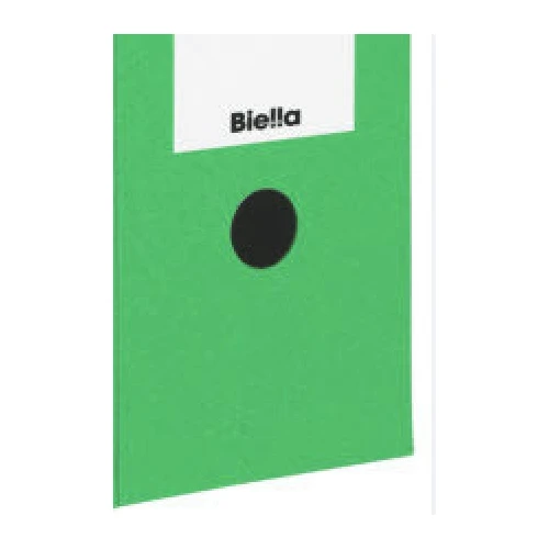 Biella Archivschachteln, grün, Pack à 10 Stück