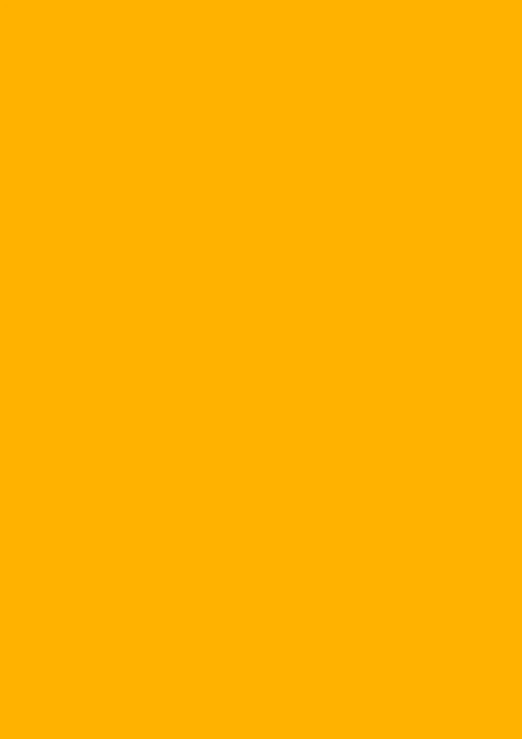 STEWO Papier cadeau Uni Plain