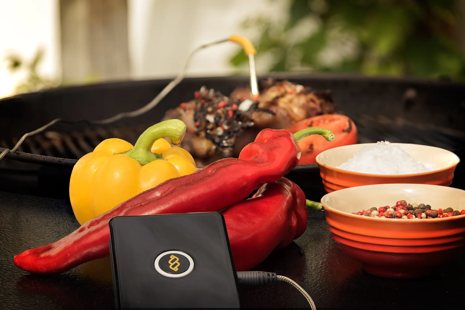 WeGrill One - Thermomètre à viande