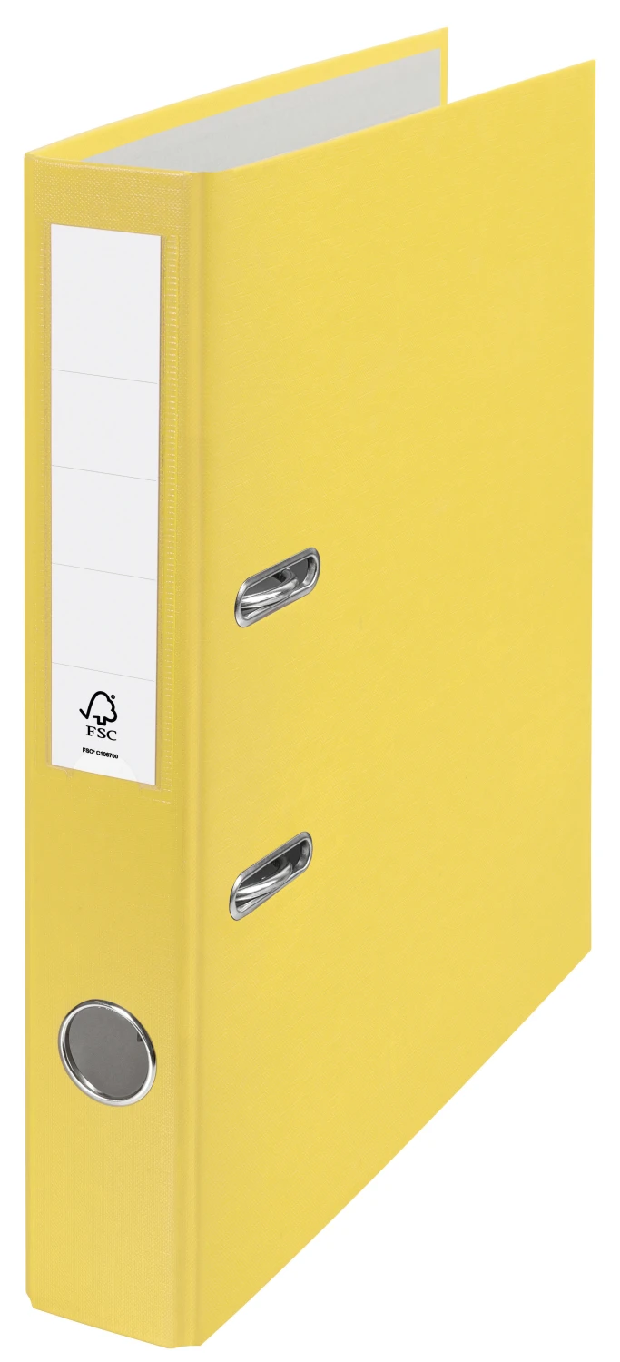 ESSELTE Classeur CH Standard 5 cm