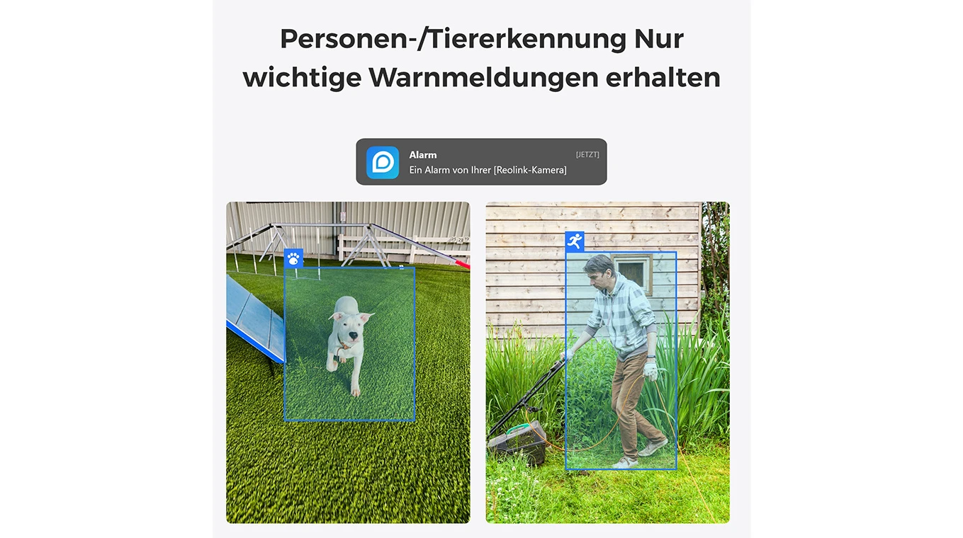 REOLINK Caméra Wi-Fi d'intérieur