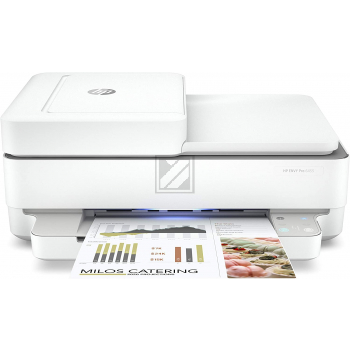 Envy Pro 6454