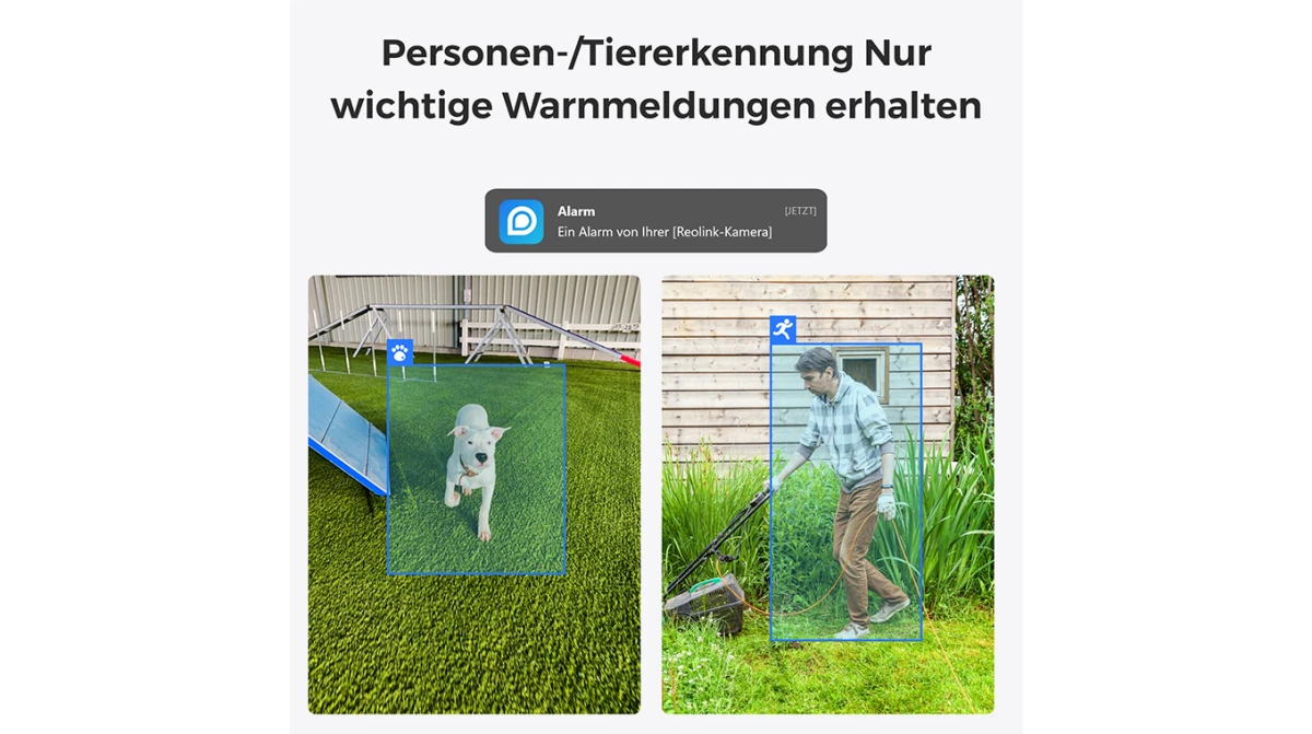 REOLINK Caméra Wi-Fi d'intérieur
