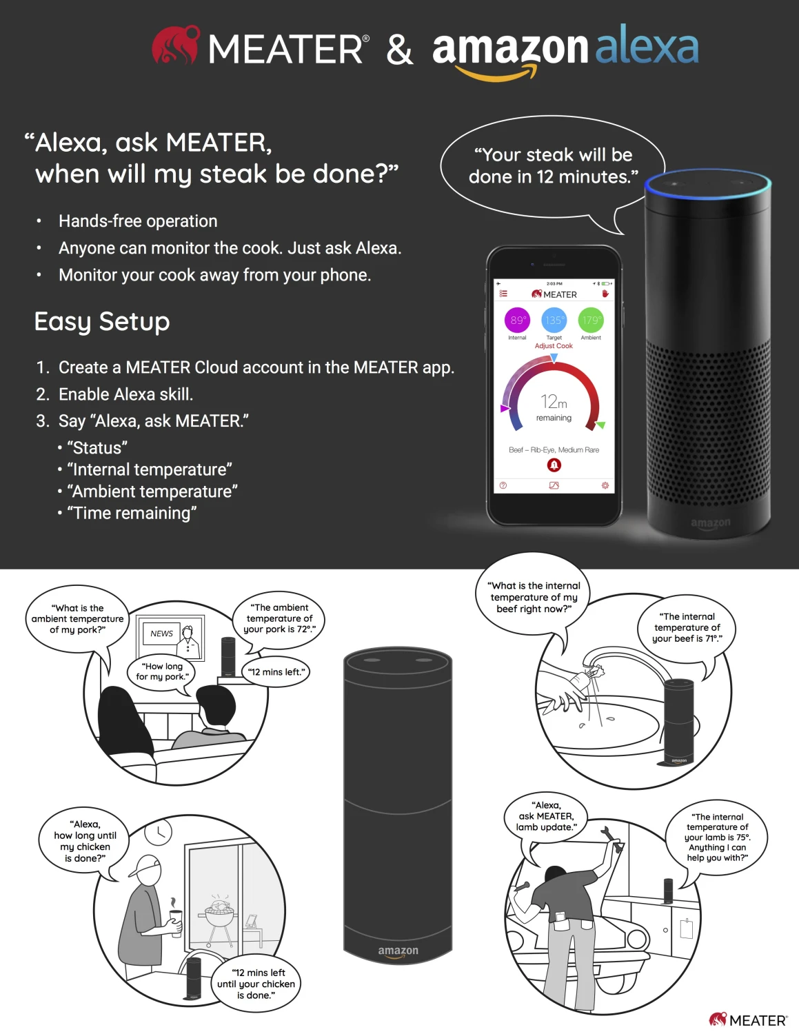ApptionLabs Apption Labs Meater+