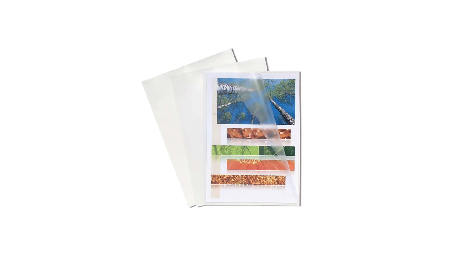 Exacompta Chemises transparentes A4 - 22 x 31 cm