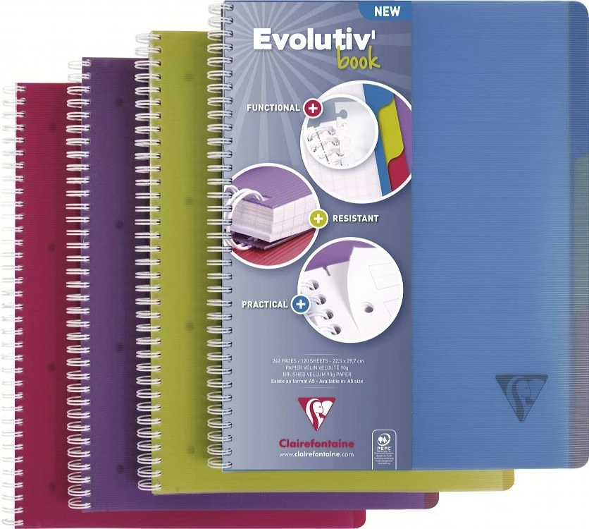 CLAIREFONTAINE LINICOLOR Heft A4+