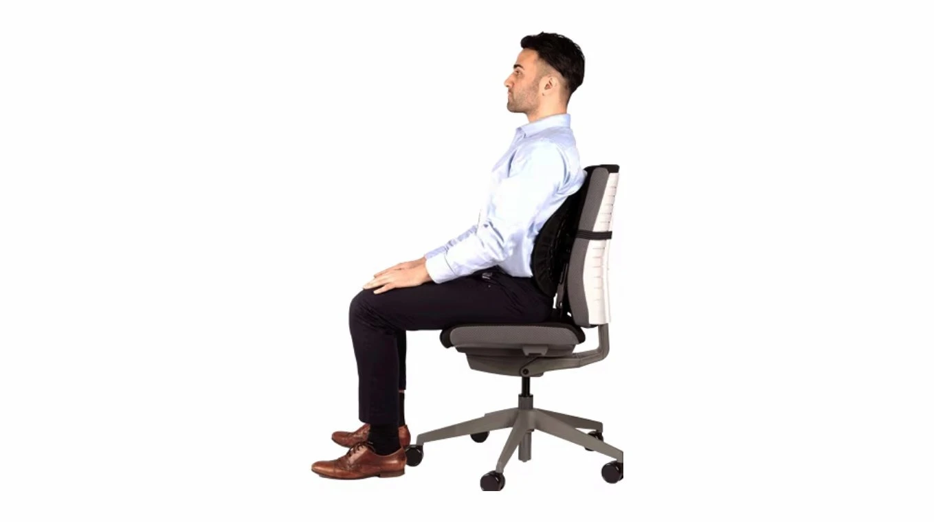 FELLOWES Support dorsal Back Angel