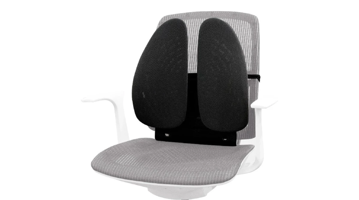 FELLOWES Support dorsal Back Angel