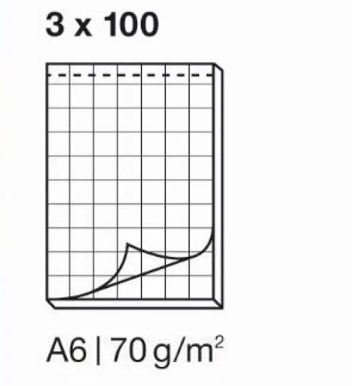 ELCO Bloc-notes A6 quadrillé - 3 x100 feuilles