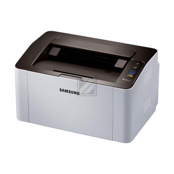 Xpress M 2026 W