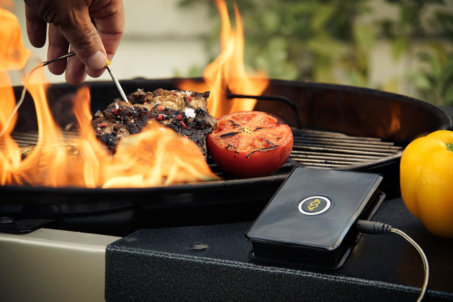 WeGrill One - Thermomètre à viande
