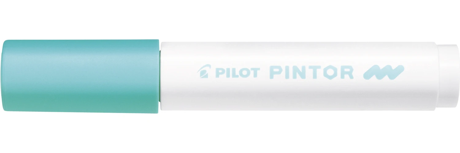 PILOT Marker Pintor M
