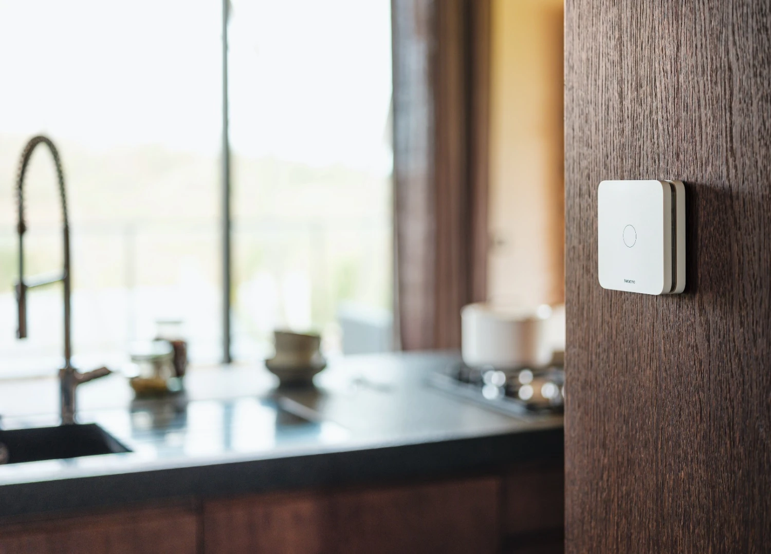 Netatmo Smarter Kohlenmonoxidmelder