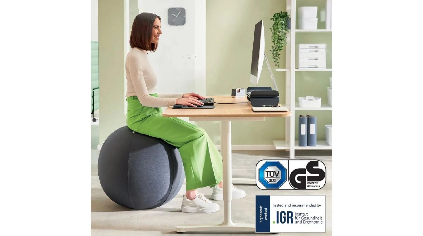 LEITZ Balle assise Ergo Active 55cm