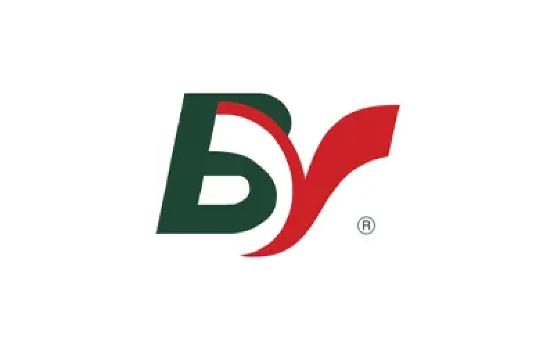 Bastos Viegas