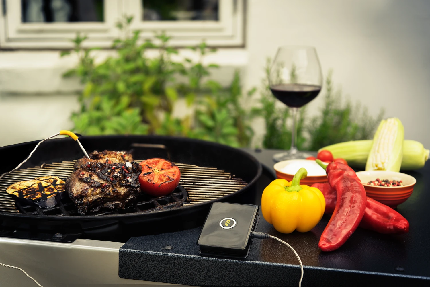 WeGrill One - Thermomètre à viande