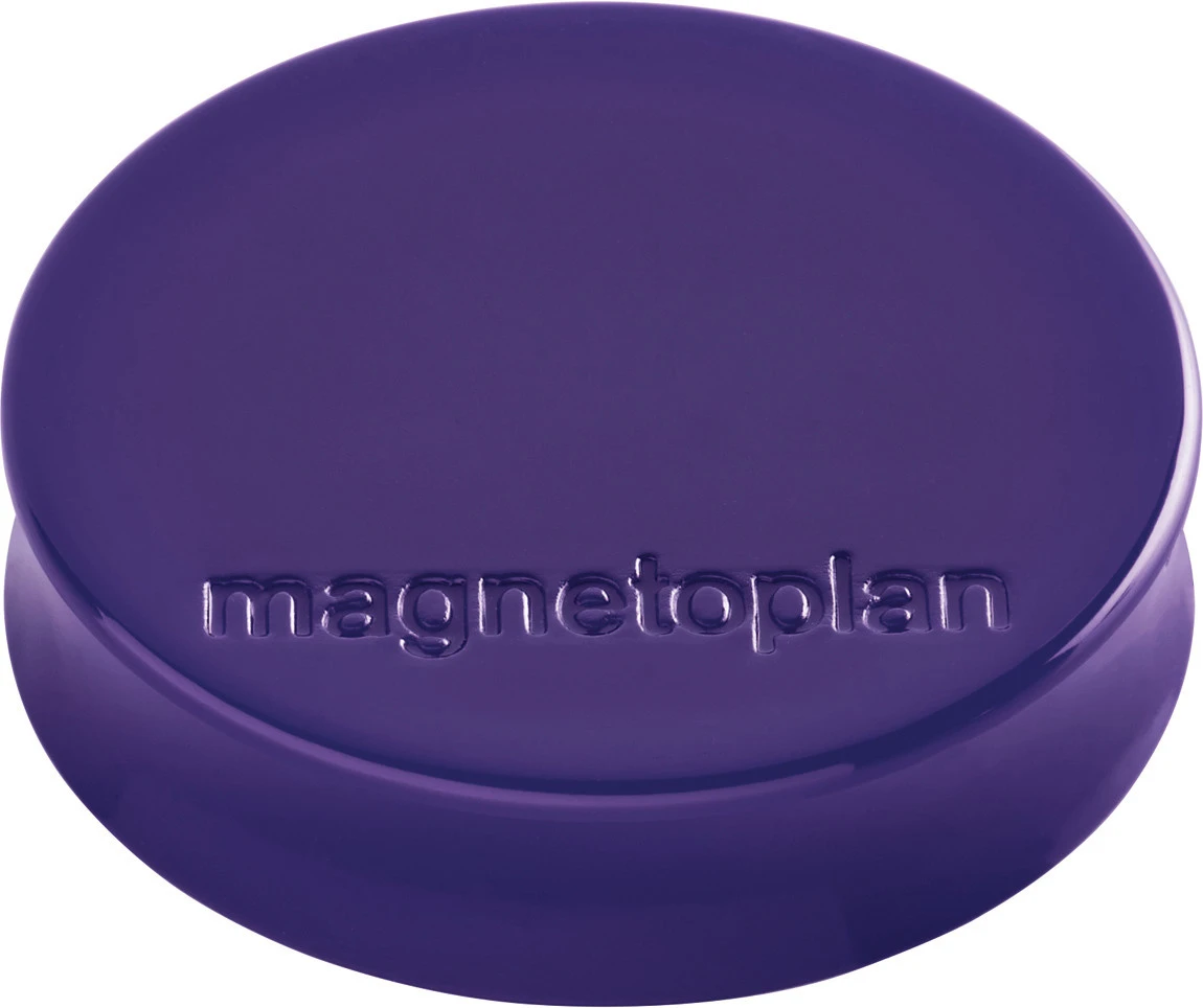 MAGNETOPLAN Magnet Ergo Medium 10 Stk.