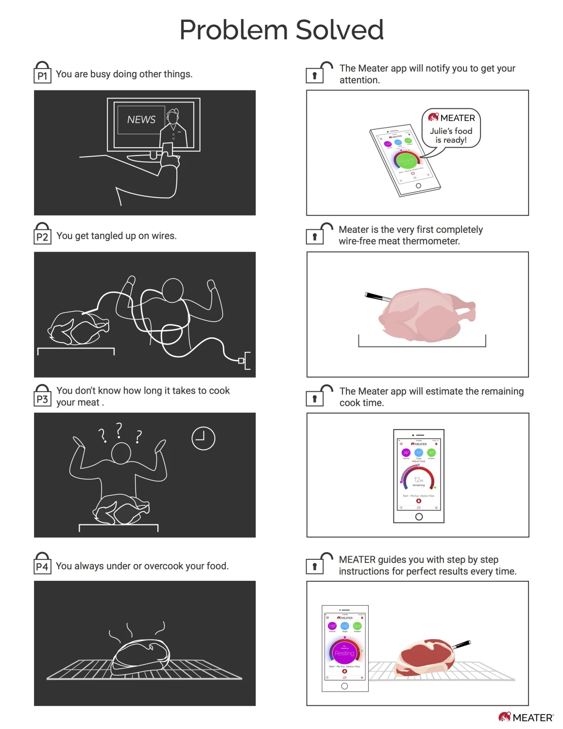 ApptionLabs Apption Labs Meater+