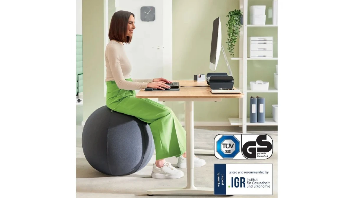 LEITZ Balle assise Ergo Active 55cm