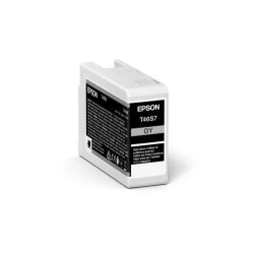 EPSON Tintenpatrone gray