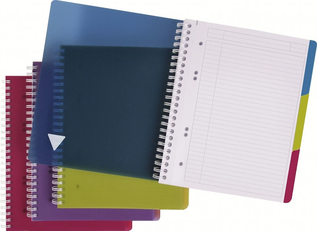 CLAIREFONTAINE LINICOLOR Cahier A5+, ligné