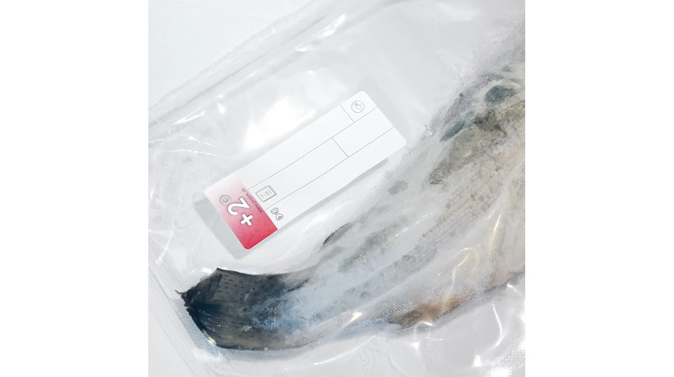 PROLABEL Étiquettes +2°C, 10 rouleaux