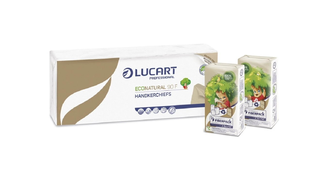 LUCART Mouchoirs EcoNatural 90 F 4 couches, 24 x 10 paquets