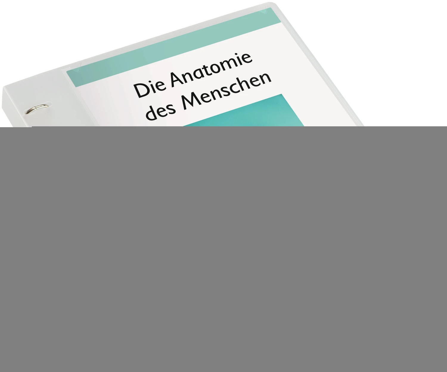 KOLMA Zeigebuch Vario XL KF A4 - 20 mm