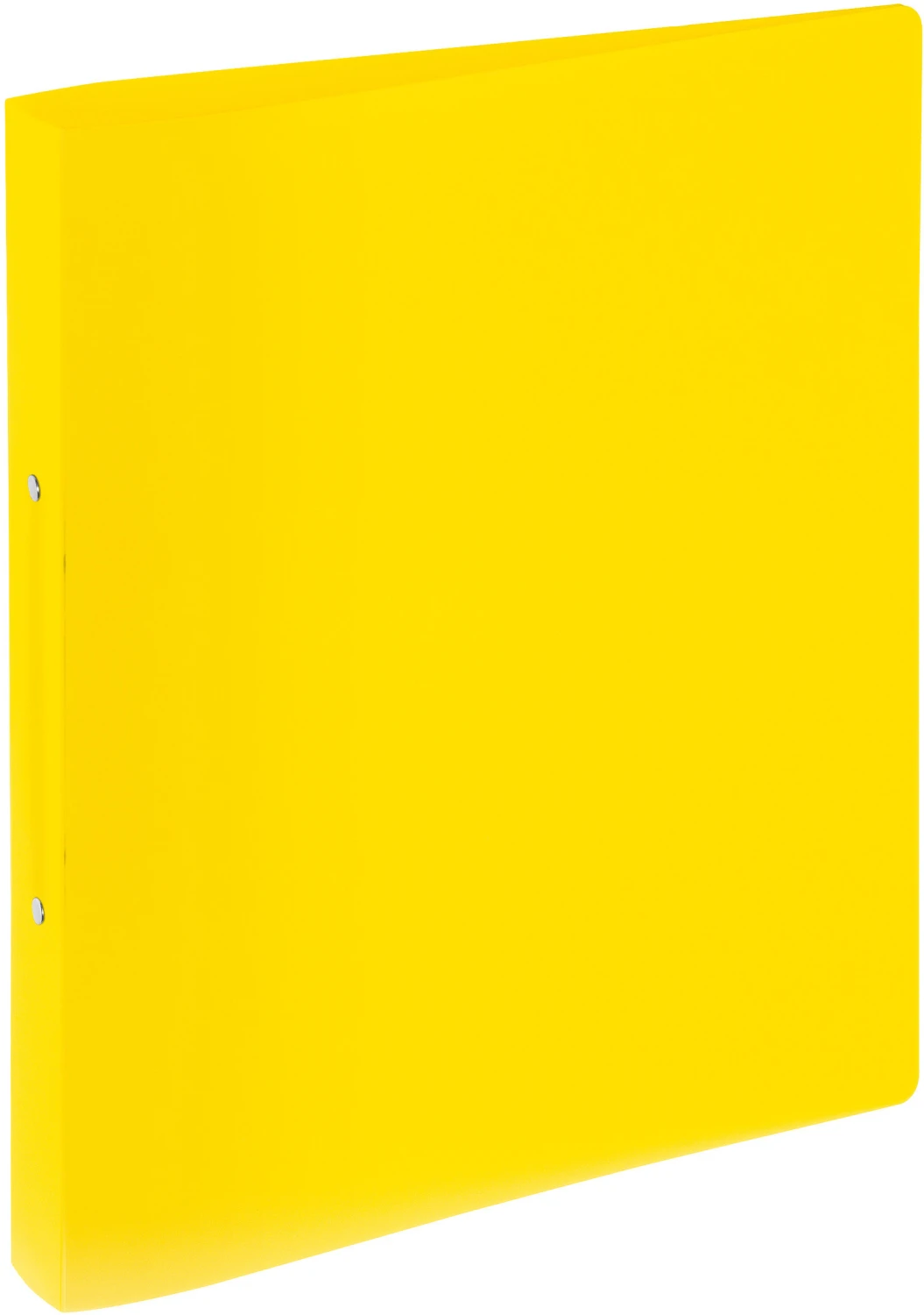 PAGNA Ringbuch 33mm A4