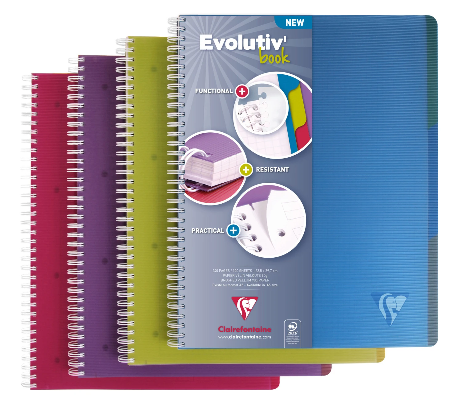 CLAIREFON LINICOLOR Cahier spir. A4+