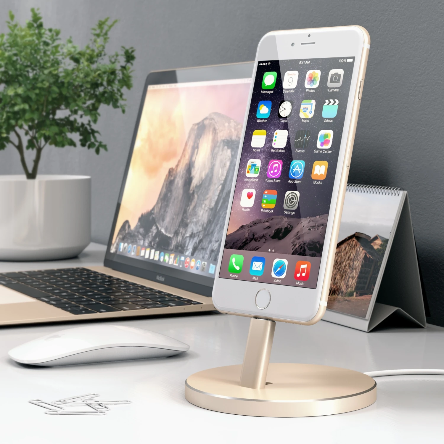 Satechi Charging Stand