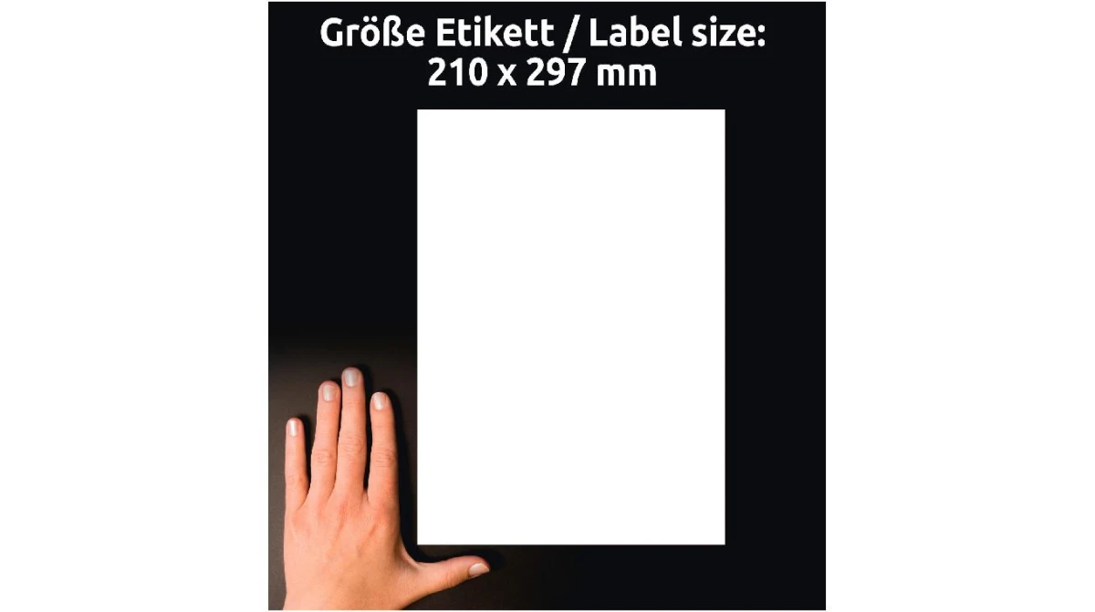 AVERY ZWECKFORM L7767-40 Étiquettes, A4, 40 feuilles