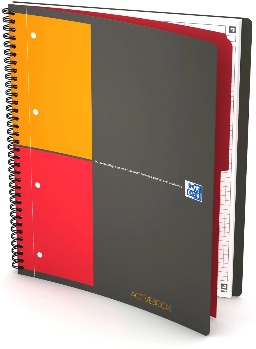 Activebook A4+ 5mm quadr.gris