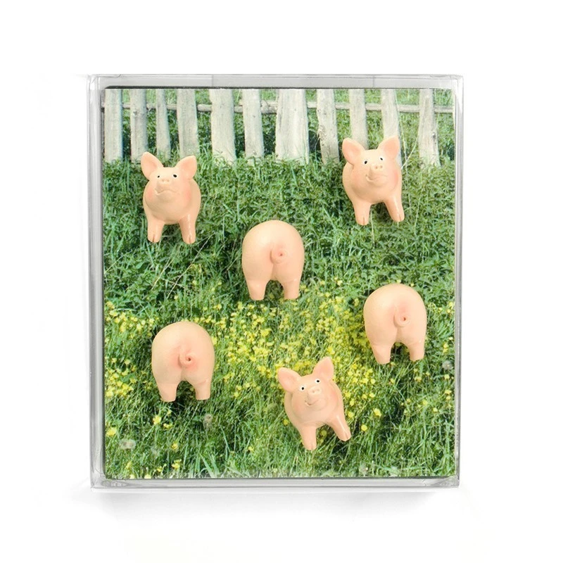 TRENDFORM Aimants PIGGY
