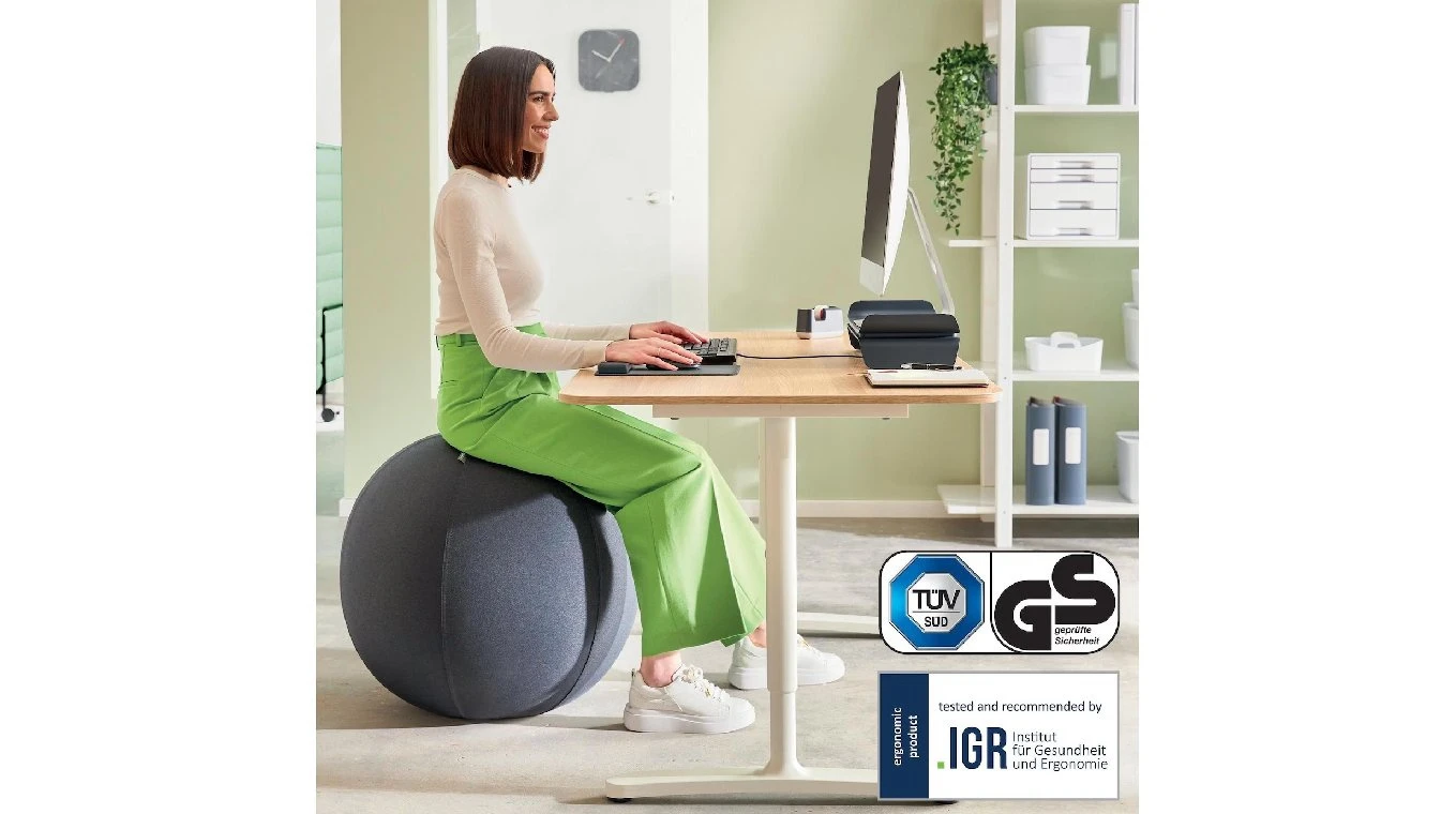 LEITZ Balle assise Ergo Active 75cm