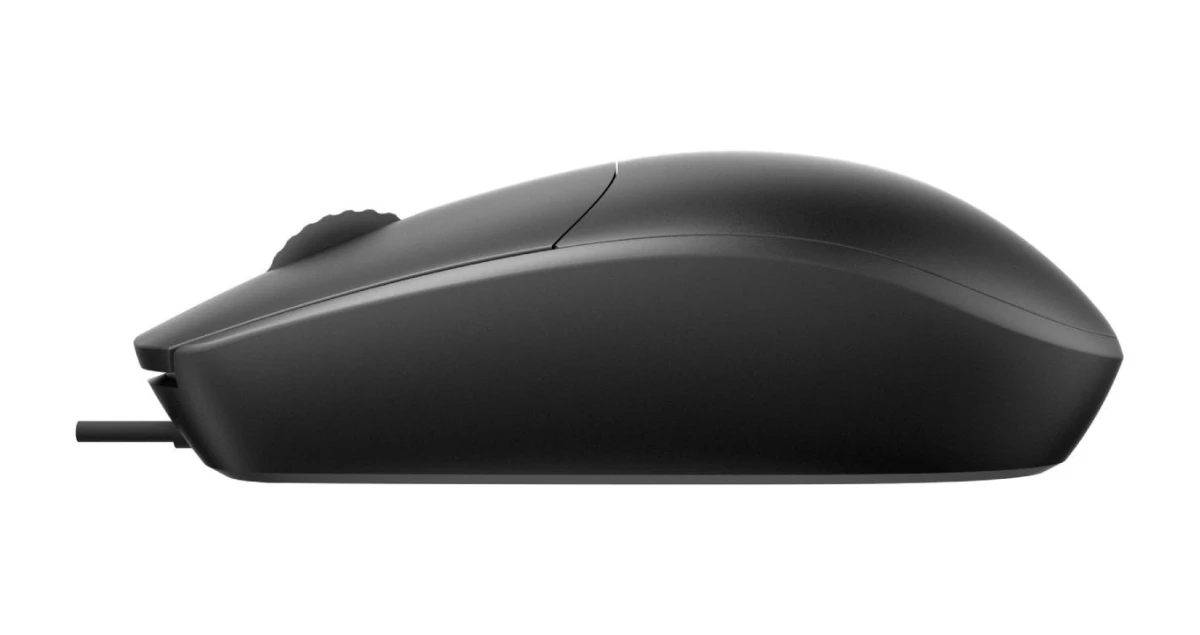 RAPOO N100 Optical Mouse
