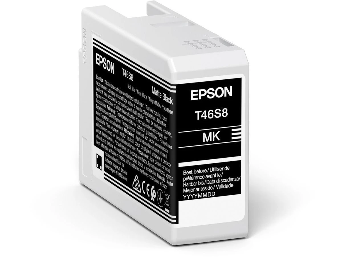 EPSON Tintenpatrone light gray
