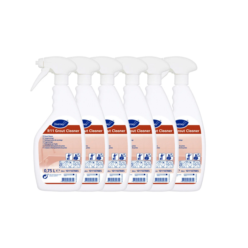 ROOM CARE Nettoyant pour joints R11 Grout Cleaner 6 x 750 ml