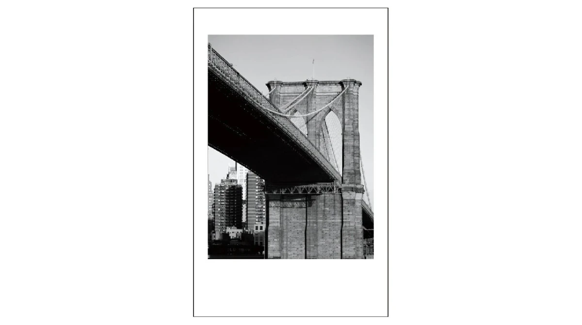 FUJIFILM Instax Mini Film Monochrome