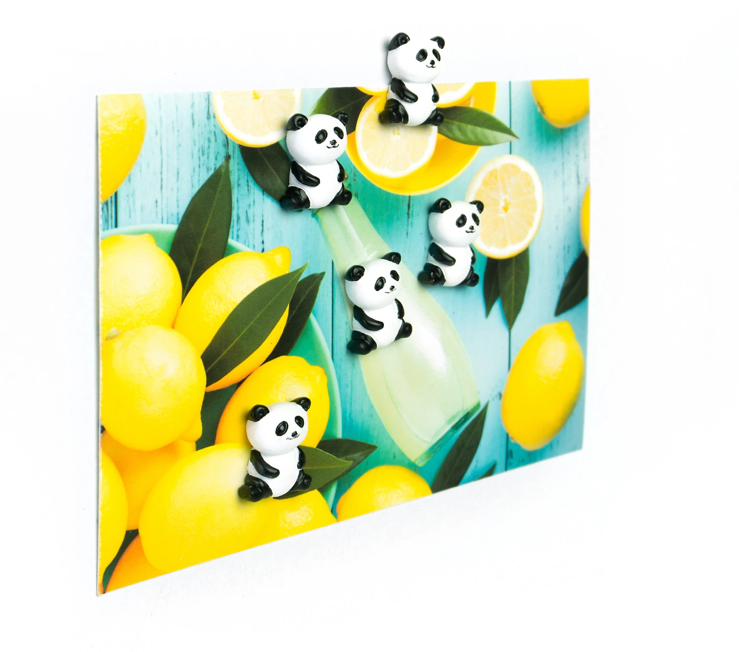 TRENDFORM Aimants PANDA