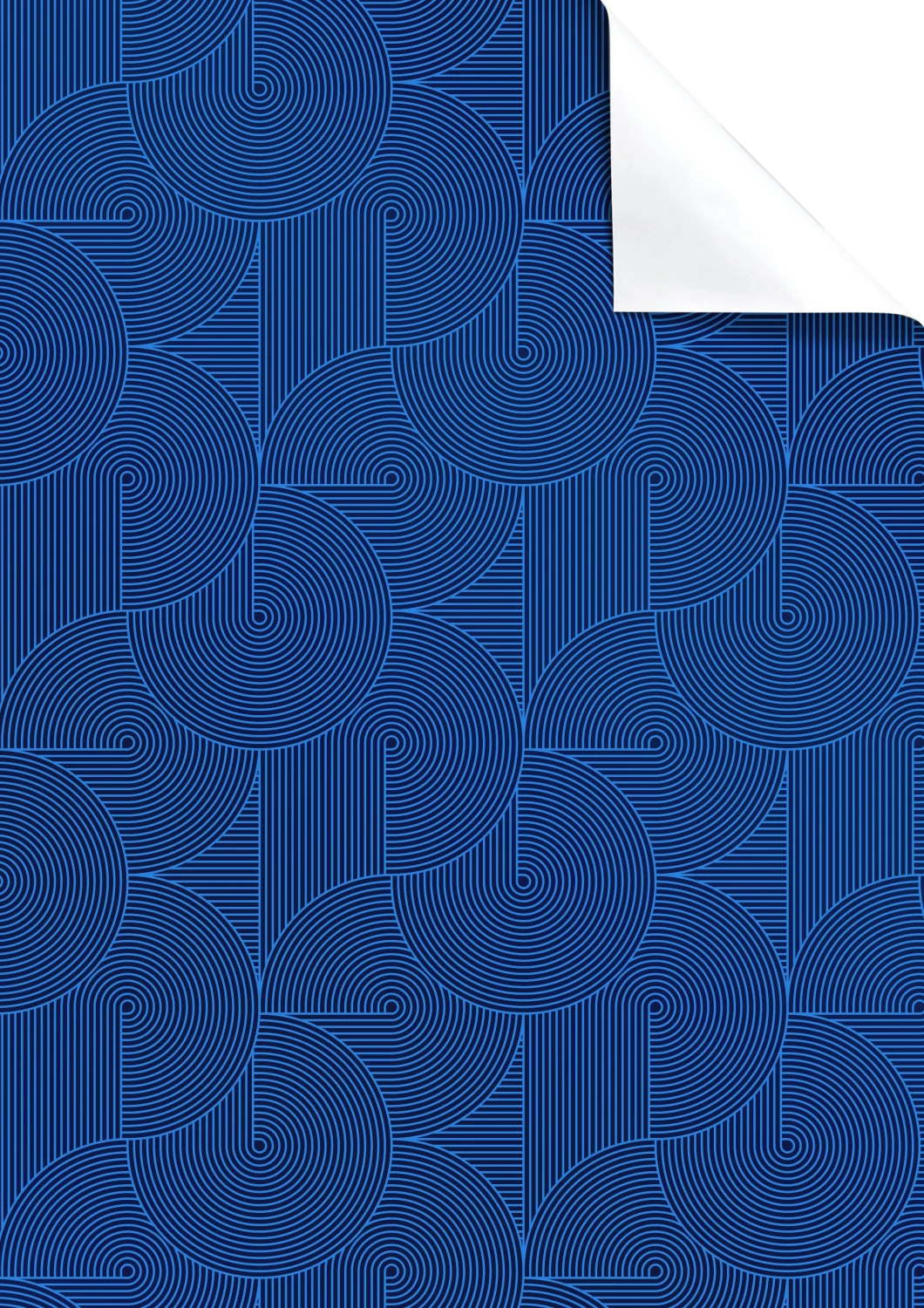 STEWO Papier cadeau Anteo