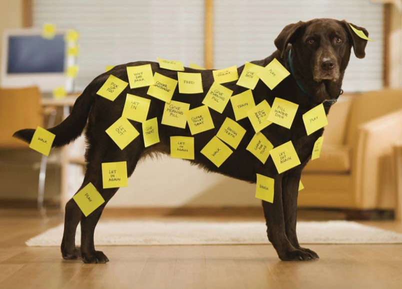 POST-IT Cube de notes adhésives 450 feuilles