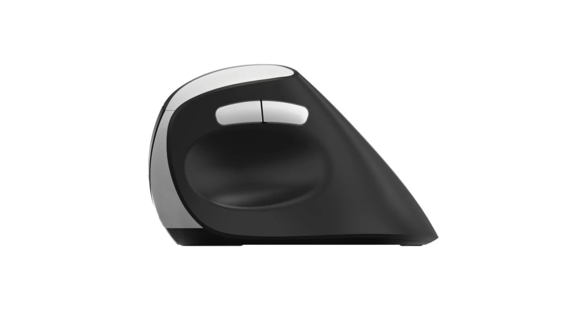 RAPOO EV250 Vertical Mouse Wireless