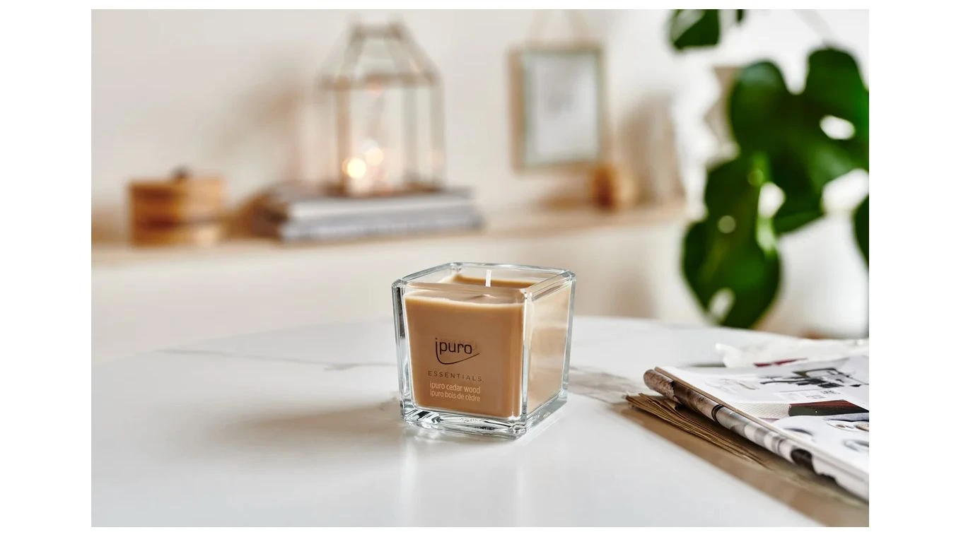 IPURO Bougie parfumée Essentials Cedar Wood