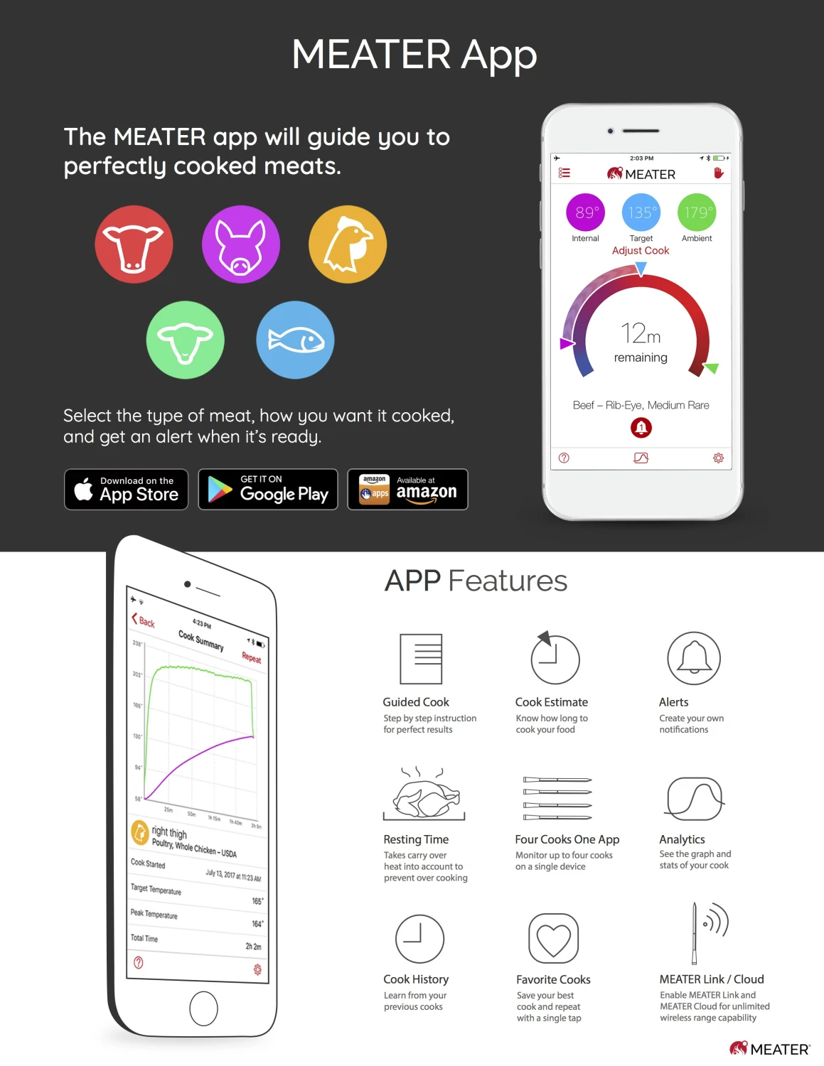 ApptionLabs Apption Labs Meater+