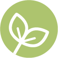 Green Products