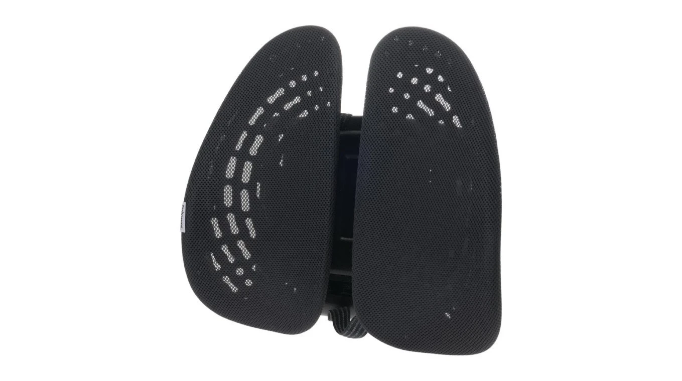 FELLOWES Support dorsal Back Angel