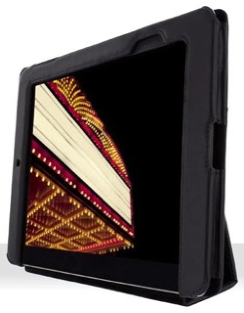 ARTWIZZ SeeJacket Ledercase iPad 2/3/4